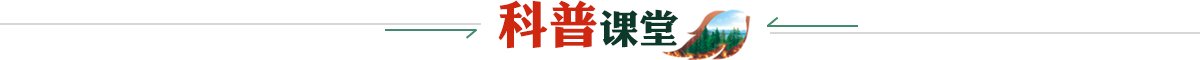jrs低调看免费高清直播_(中国