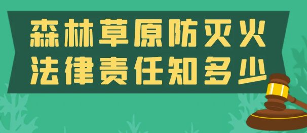 这样安排可减少漏读与重复检索
